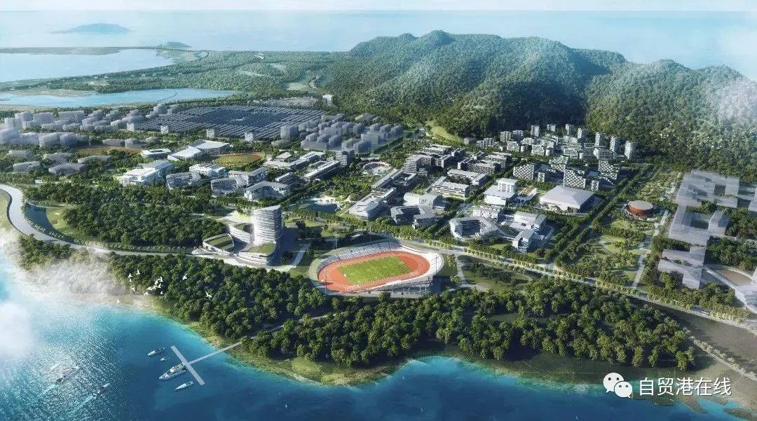 总投资约300亿，海南国际教育创新岛建设良好开局 - 第2张