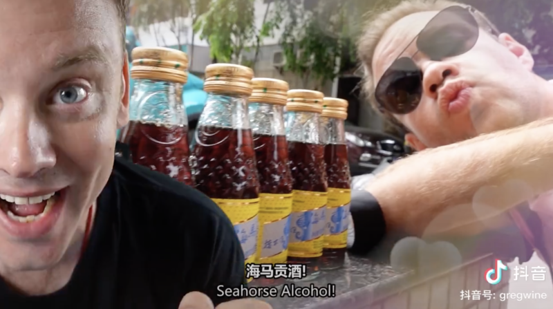 国际友人自创的国际海马节：海马贡酒这么国际范了？[视频] - 第1张
