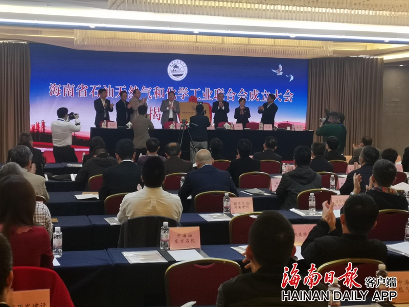 海南省石油天然气和化学工业联合会成立 - 第2张