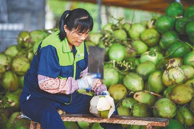 椰子消费市场开启“新赛道” 海南如何释放更多经济效益？ - 第2张