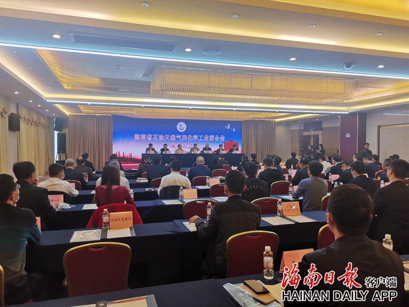 海南省石油天然气和化学工业联合会成立 - 第1张