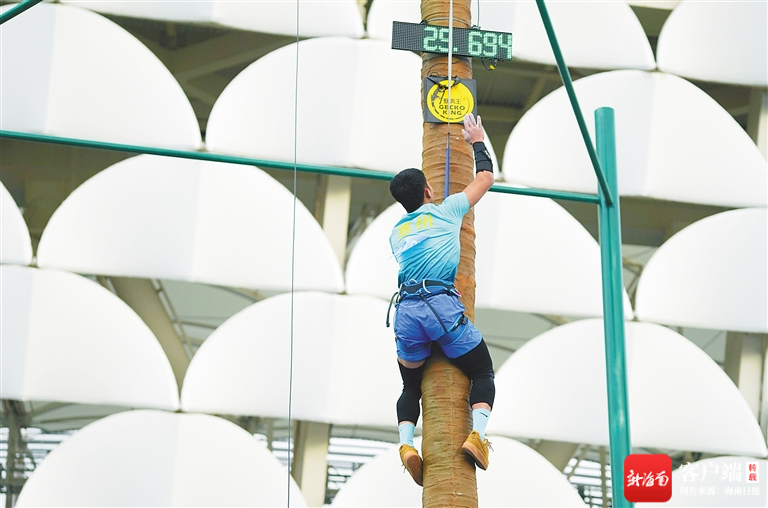 三亚爬椰子树比赛落幕 海南代表队包揽男女个人赛一等奖 - 第1张