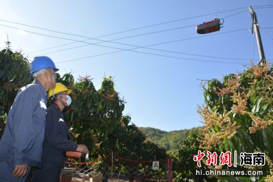 三亚供电局工作人员正对绝缘涂覆机器人实施作业。刘昌摄