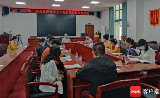 日前，三亚市农业农村局召开打造专业合作社样板座谈会。