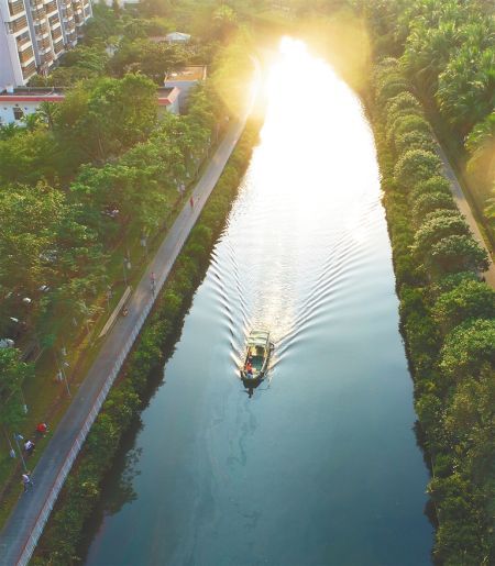俯瞰海口市美舍河国兴桥段。本报记者 张茂 摄