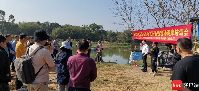 海口东山镇冬季小龙虾亩产利润近万元 将推广养殖促进乡村振兴 - 第1张