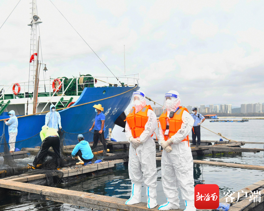 渔船办检“零等待” 海南近十年来首艘中国籍鱼苗船顺利出口 - 第3张