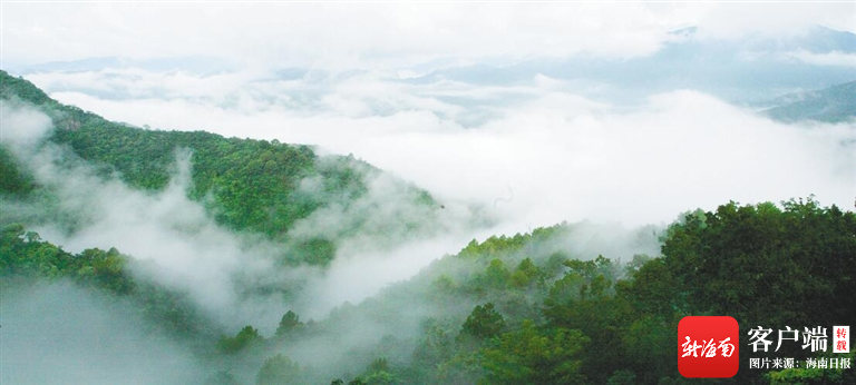 “海南热带雨林和黎族传统聚落”入选世界遗产预备清单 - 第1张