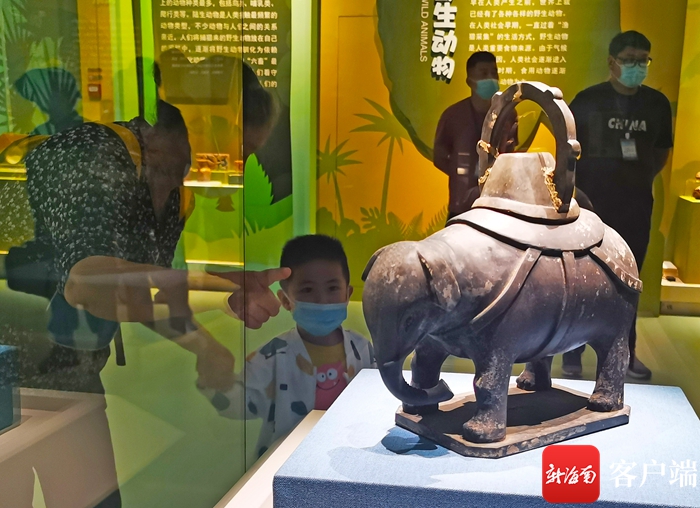 动物文物你见过吗？150余件套动物文物在海南省博物馆展出 - 第3张