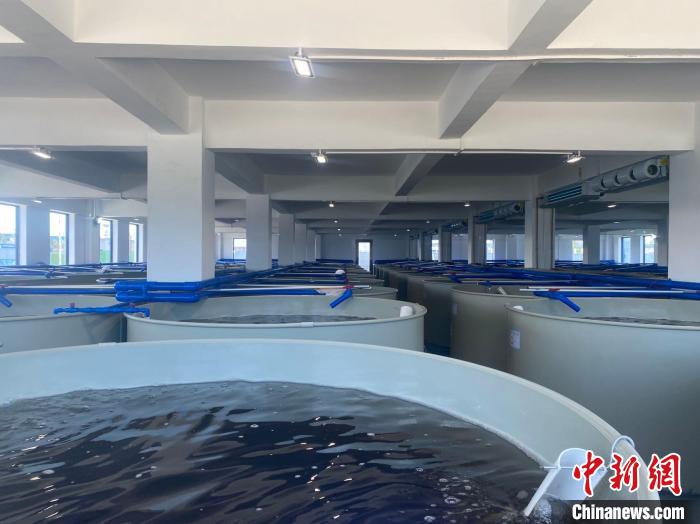 图为渤海水产育种(海南)有限公司建成的育种车间。　符宇群 摄