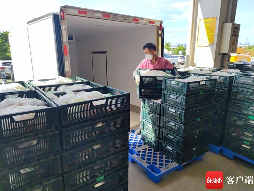 海口市菜篮子集团储备蔬菜逾3900吨应对台风“马鞍” - 第2张