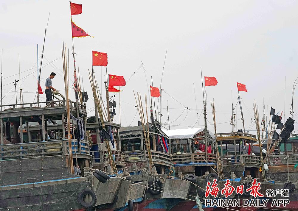 儋州市白马井中心渔港：渔船回港避台风 - 第8张