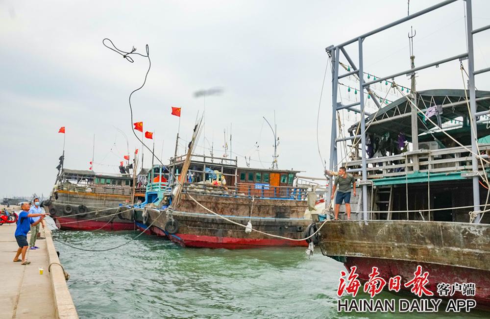 儋州市白马井中心渔港：渔船回港避台风 - 第3张