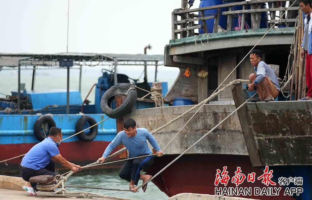 儋州市白马井中心渔港：渔船回港避台风 - 第4张