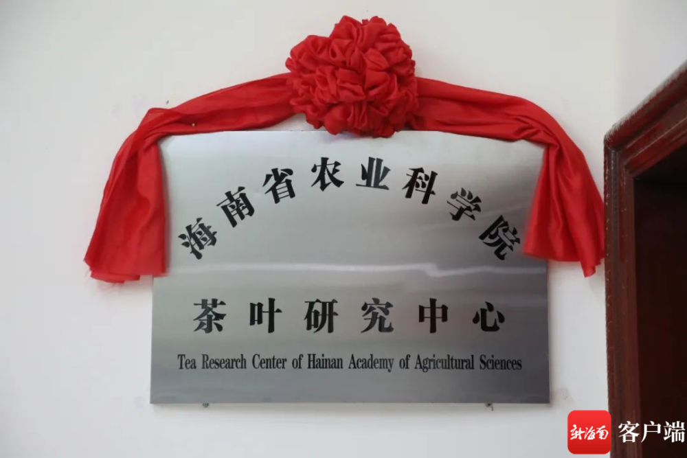 海南省农业科学院茶叶研究中心在白沙揭牌 - 第1张