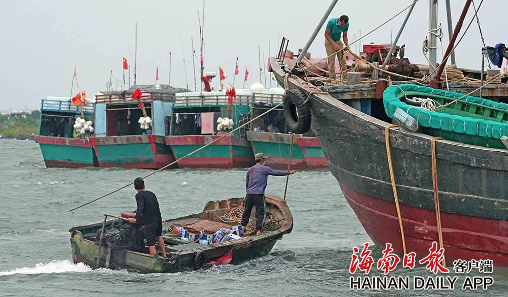 儋州市白马井中心渔港：渔船回港避台风 - 第7张