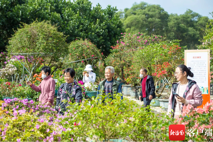 春节假期海口接待游客121.99万人次，实现旅游收入15.77亿元 - 第3张