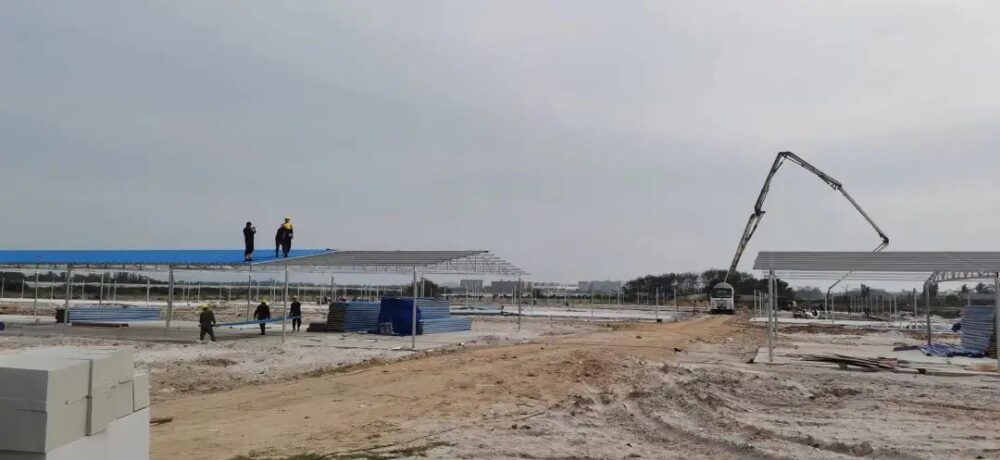 万宁市东澳鹅产业强镇项目顺利推进 首批大鹅将飞进江浙沪地区 - 第1张