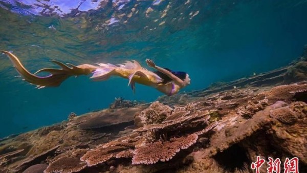 亚特兰蒂斯二期等重大项目计划落地三亚，海南：奋力打造世界一流旅游目的地